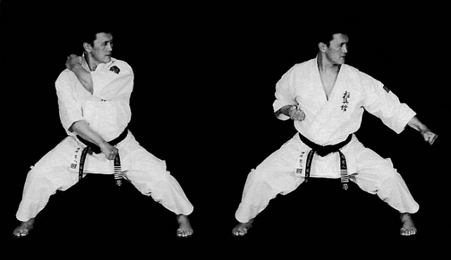 Блок гедан барай Блок гедан барай