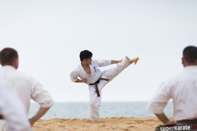 Ката под руководством японского мастера