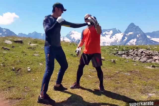 Работа на лапах Работа на лапах