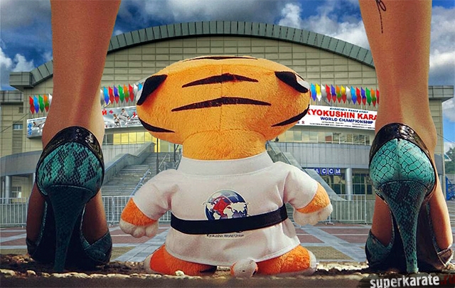 Это стоит увидеть!