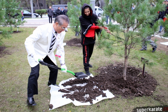 Канчо Рояма посадил свой именной кедр