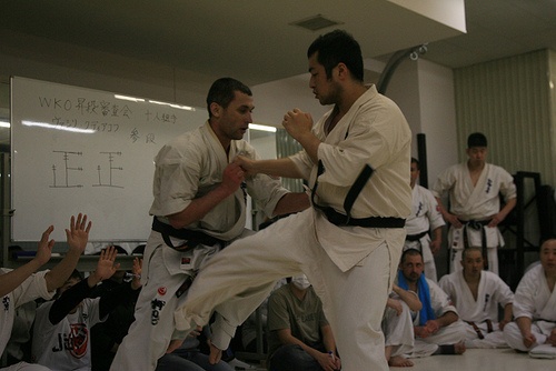 Сэнсей Василий Худяков