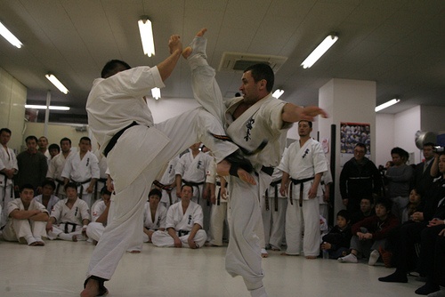 Сэнсей Василий Худяков