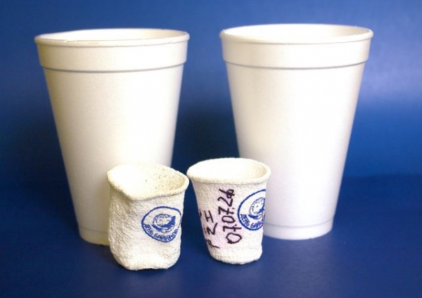 Стаканчики побывавшие на дне озера Байкал по сравнению с их сухопутными одноконвеерниками