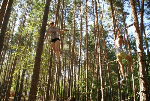 Это не амурские лианы, это тренировка каратистов на веревках