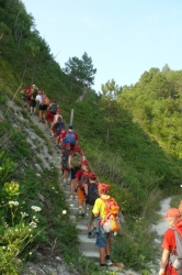 Кекусинкан в Джубге