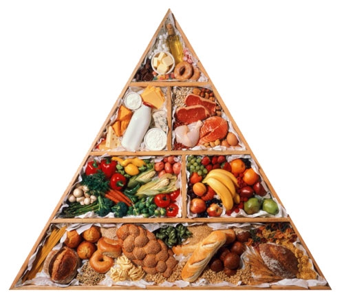 Пирамида питания