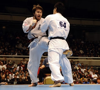 Тариел Николеишвили