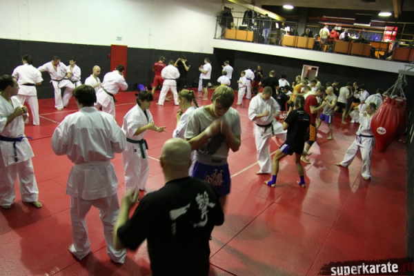 Семинар Макса Дедика