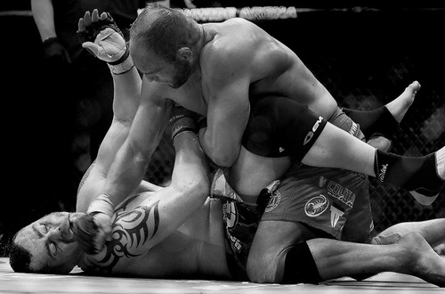 Рэнди Кутюр