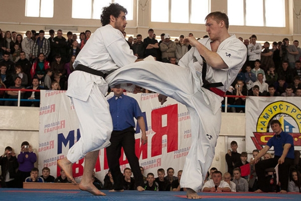 Годерзи Капанадзе против Андрея Степина