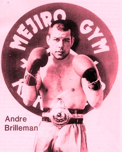 Андре Брилленман