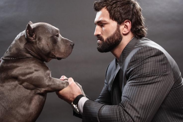 Андрей «Питбуль» Арловский