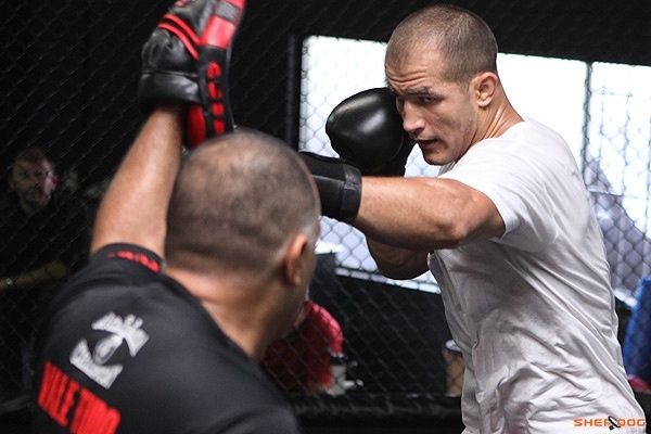 Джуниор душ Сантуш