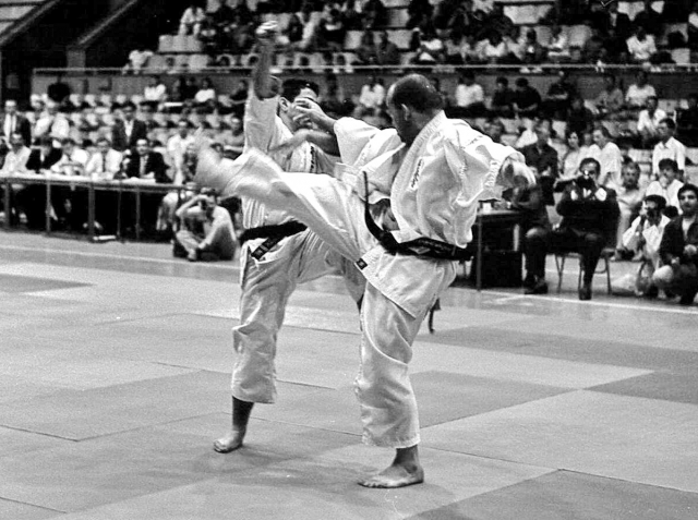 Каратэ киокушинкай