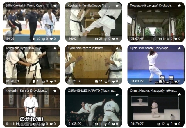 Видео по боевым искусствам