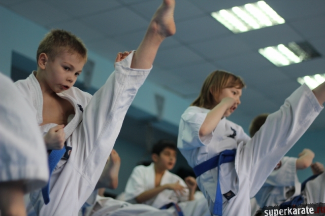 Сборы по каратэ киокушинкай