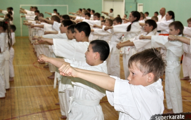 Киокусинкай в Архангельске