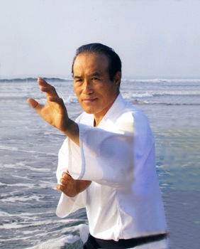 Хиросигэ Цуеси (24291;37325; 27589; )