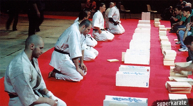 Киокушин каратэ 2002