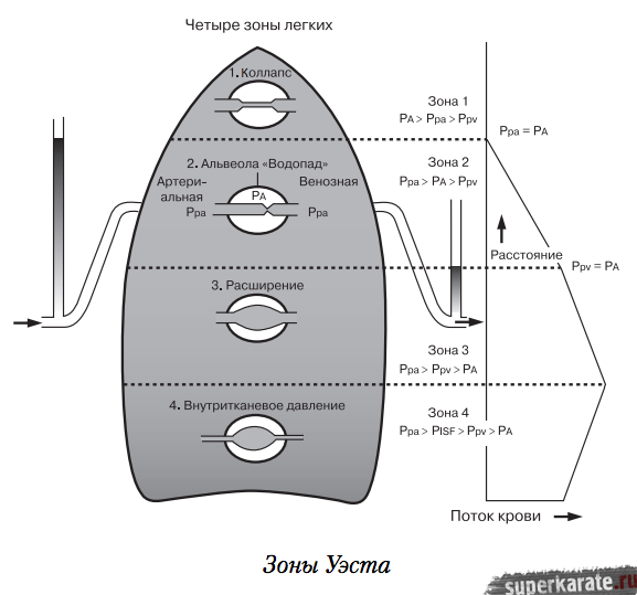 Зоны Уэста Зоны Уэста