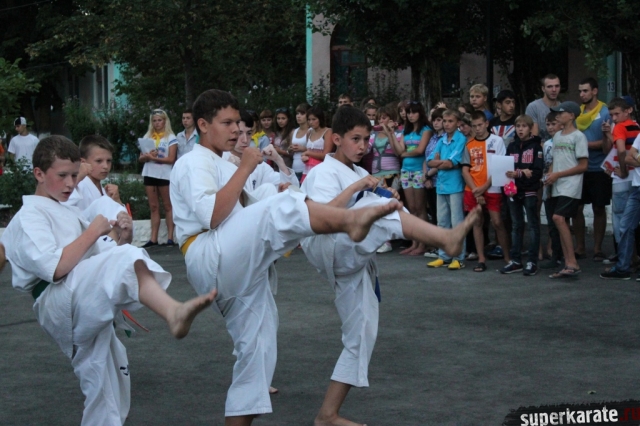 Показательные выступления каратистов Показательные выступления каратистов
