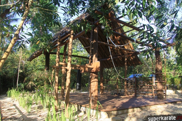 Додзе в Африке