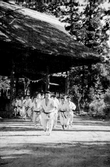 Киокушиновцы бегут в сосновом лесу