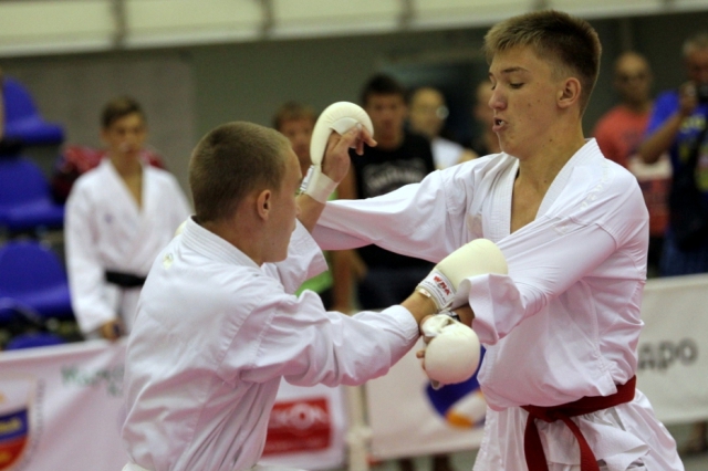 Всестилевое каратэ Всестилевое каратэ