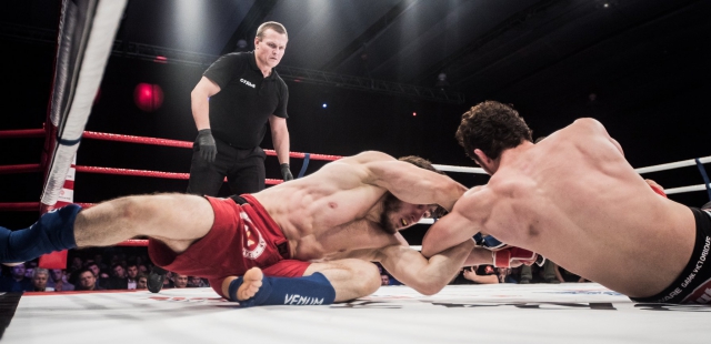 Чемпионат мира по ММА