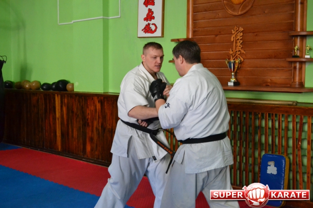 Андрей Стёпин