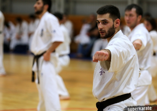 Фрагмент дан теста Фрагмент дан теста