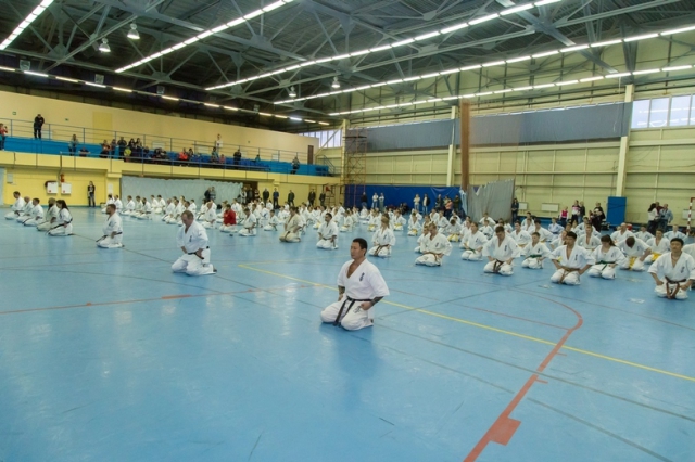 Семинар Алехандро Наварро