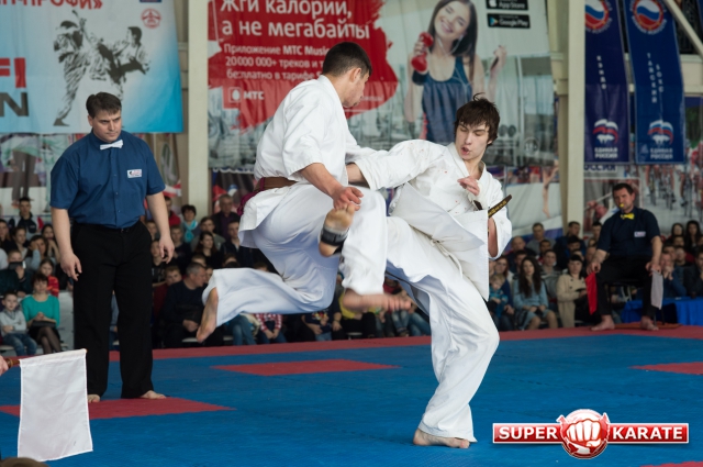 Киокушин Профи