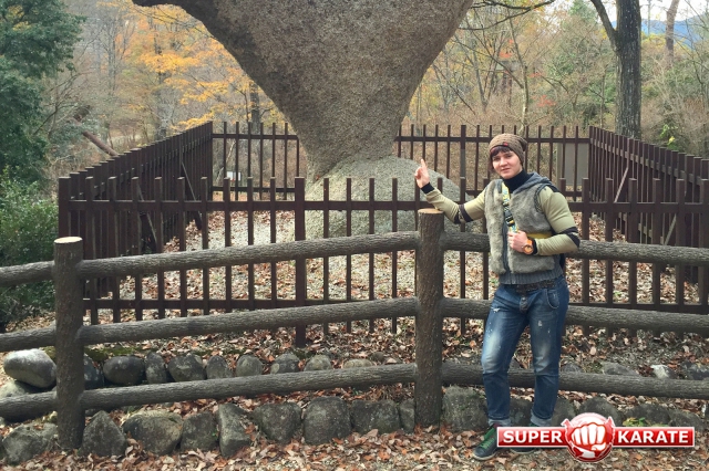 Япония - для путешествий