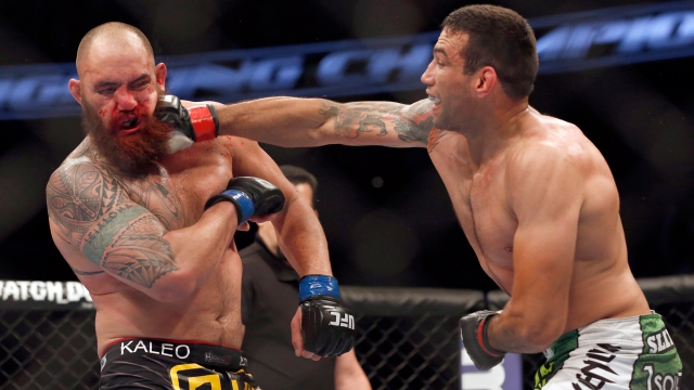 Фабрисио Вердум против Трэвиса Брауна