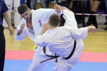 Международные соревнования Открытый Кубок «Сэйкен» в абсолютной весовой категории