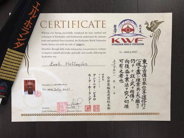 10 дан Люка Холландера