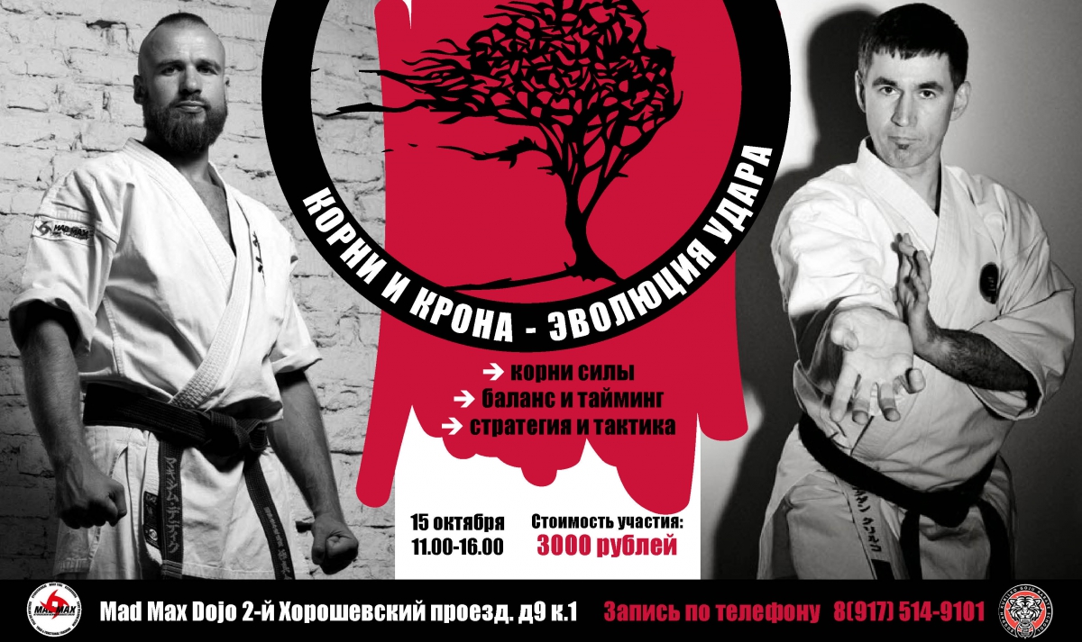 Семинар «Корни и Крона - эволюция удара»