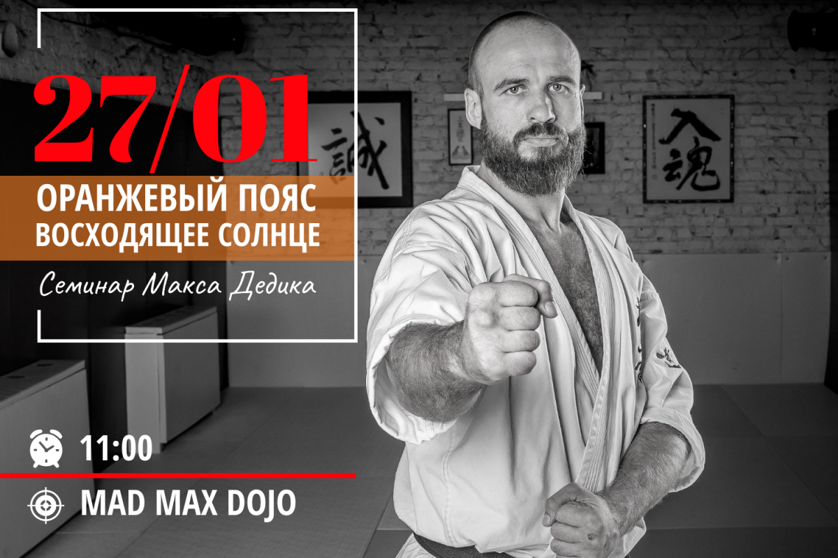 Семинар Макса Дедика «Оранжевый пояс – восходящее солнце»
