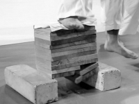 Сокуто - разбить доски пяткой