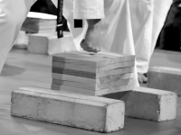 Сэйкен - разбить доски кулаком