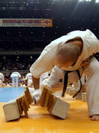 Сергей Плеханов