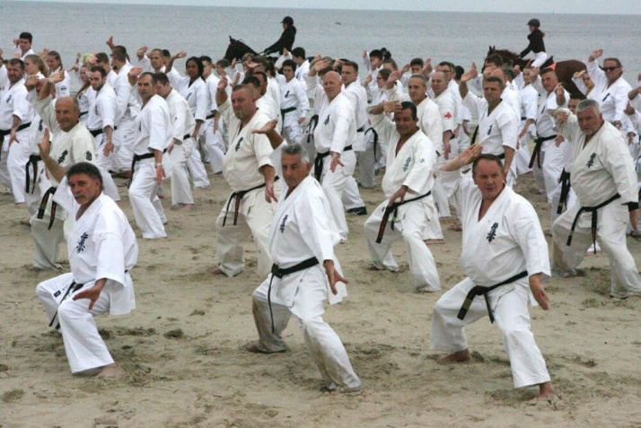 Европейский киокушин